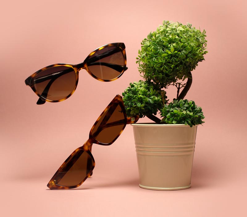 A potted plant and sunglasses against a pink background.